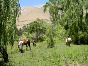 Refugio La Frontera1
