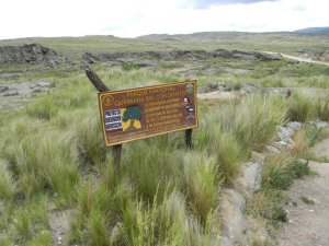 Parque nacional quebrada del condorito