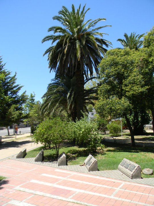 Plaza San Luis