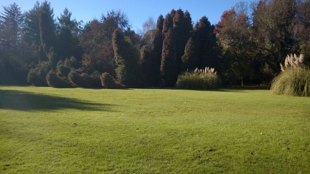 jardin botanico Valdivia.JPG