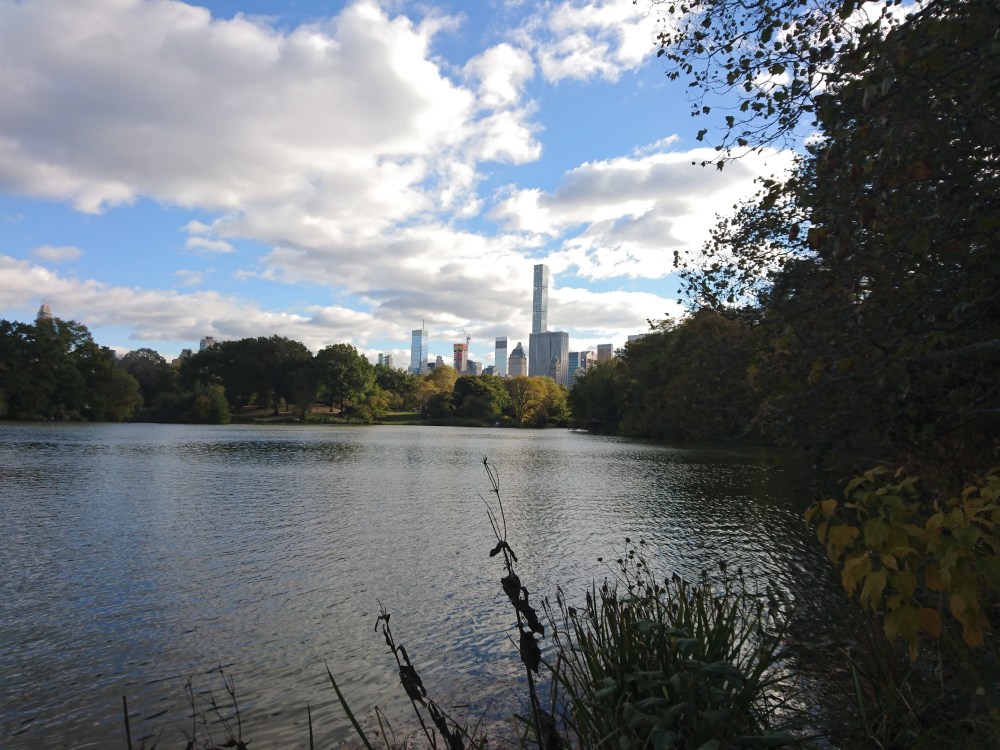 lake-central-park